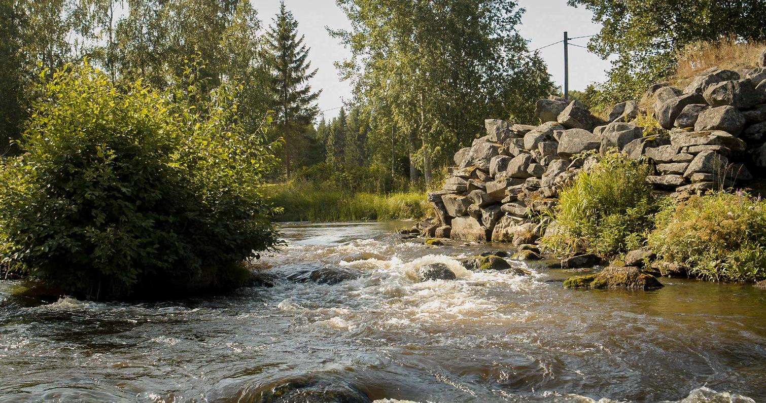 Virtaava joki kivisen penkereen vieressä, jota ympäröivät vehreät pensaat ja puut aurinkoisessa kesämaisemassa.